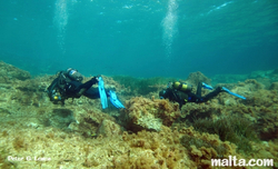 Diving in Anchor bay