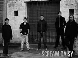 Scream daisy band members